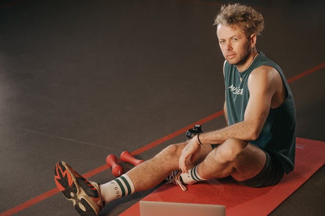 Andromalvia galeria 3